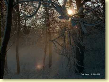  Winter-1.jpg  