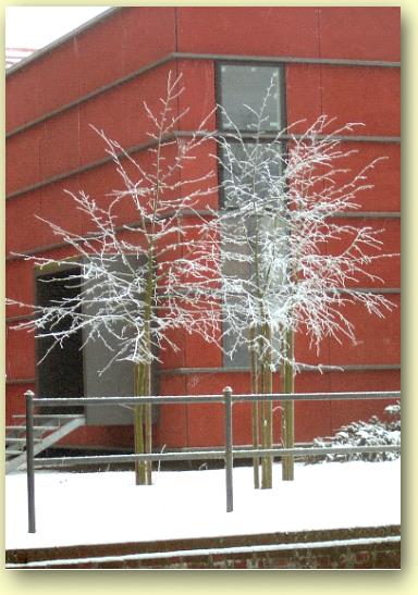  Winter-3.jpg  