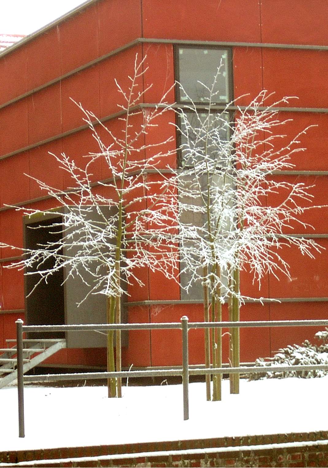  Perleberg im Winter ... 